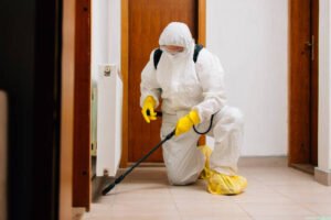 exterminator in work wear spraying pesticide with sprayer.