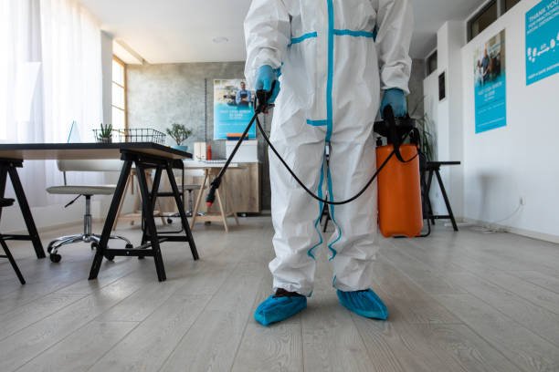 istockphoto 1262291586 612x612